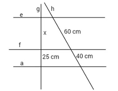 teorema de tales paralelas