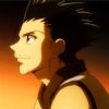 Ging Freecss