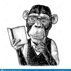 MR Rocha 