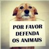 eron gomes